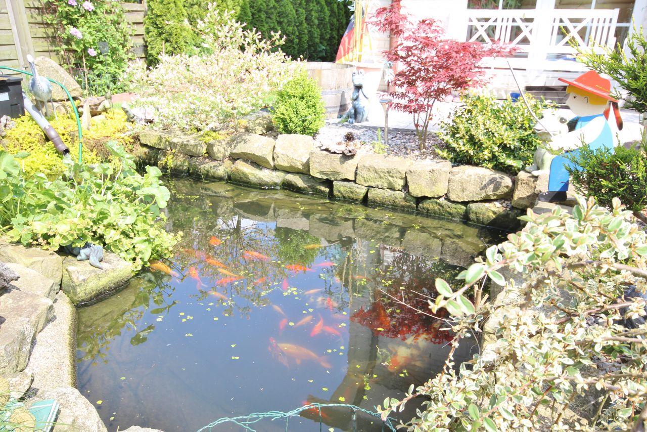 Gartenidyll mit Koi-Teich Gartenidyll mit Koi-Teich